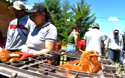 Con proyectos productivos en Antioquia se reparan las víctimas